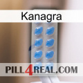 Kanagra 22